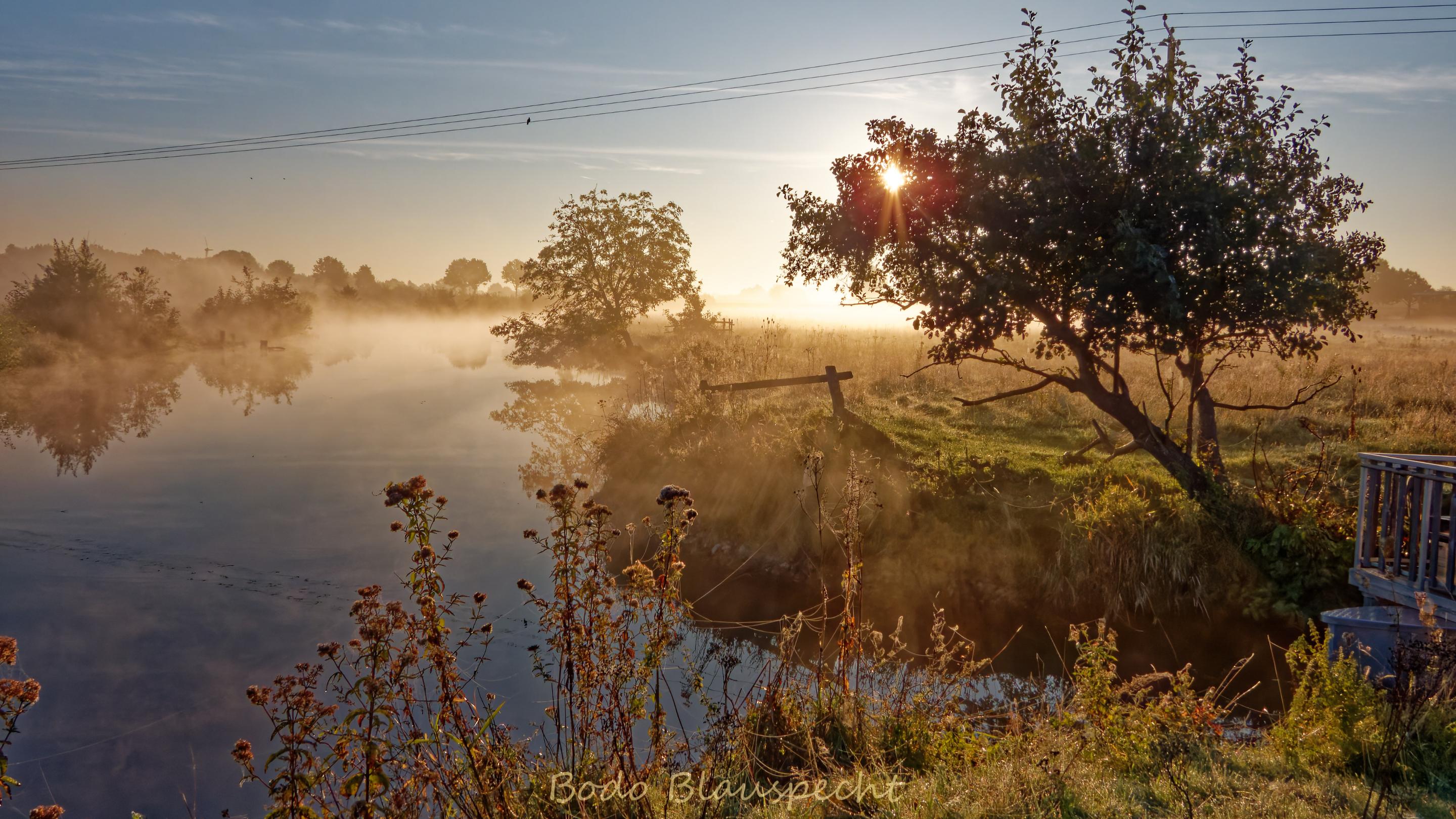 Landschaft   Steveraue   2025.10.02 08.18 02 HQ